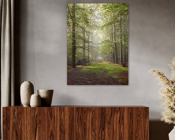 The Boslaan in Slochteren in the province of Groningen by Marga Vroom