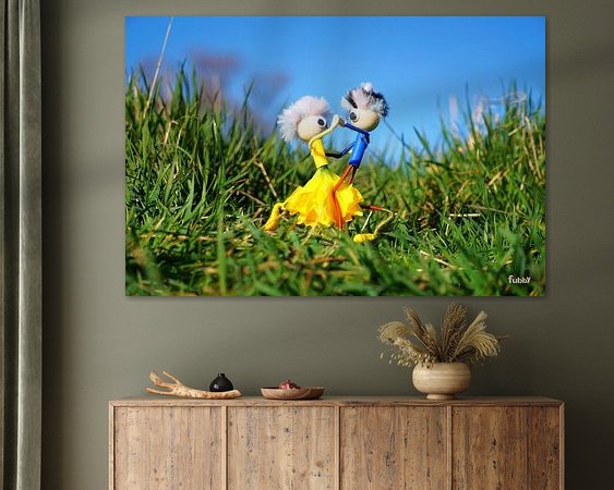 Aperçu de la chambre