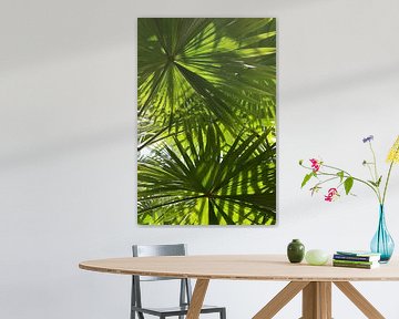 Botanisch Schaduwspel van Bianca ter Riet