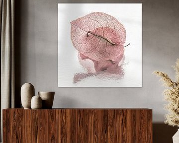 Schoonheid van vergankelijkheid: Blaadjes van een Bougainvillea van Marjolijn van den Berg