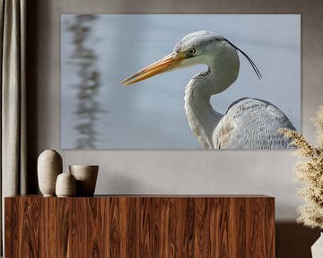 Reiger aan de waterkant