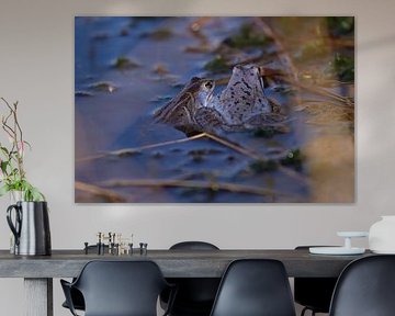 Ein gemeinsamer Moment, Blue Frogs
