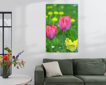 Bloemen : De levendige omhelzing van de lente