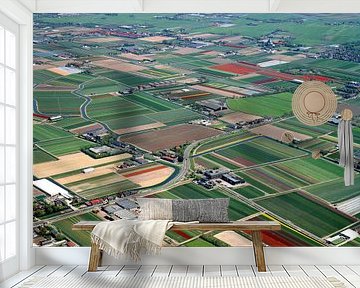 1986: Historisches Luftbild mit bunten Zwiebelfeldern von Frans Rombout