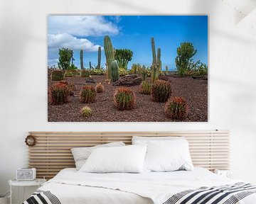 Différentes espèces de cactus dans un parc à Ténériffe sur David Esser