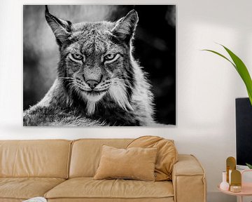 Portrait des Lynx von Mario Visser