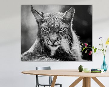 Portrait des Lynx von Mario Visser