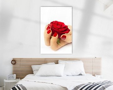 Rode roos liggend in de hand van een vrouw met rood gekleurde vingernagels.