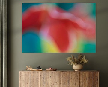 Gladiole abstrakt von Helmut Neumann Blütenfotografie