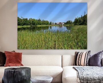 The mill pond in summer by Claude Laprise