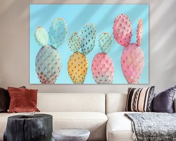 Kleurrijke cactussen van Philippe HUGONNARD