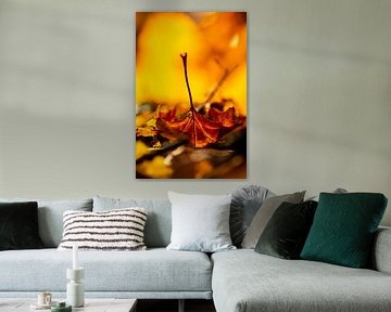 Bright autumn leaves