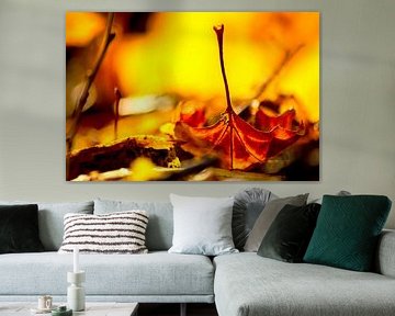 Bright autumn leaves