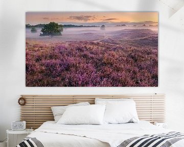 Zonsopkomst in de Gasterse Duinen, Drenthe van Henk Meijer Photography