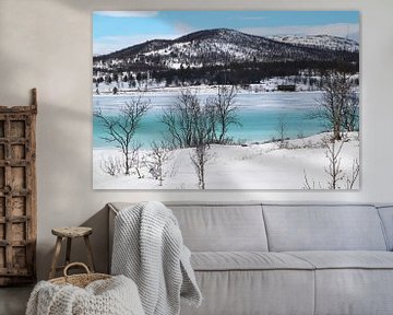 Hardangervidda bevroren fjord van Inge Hogenbijl