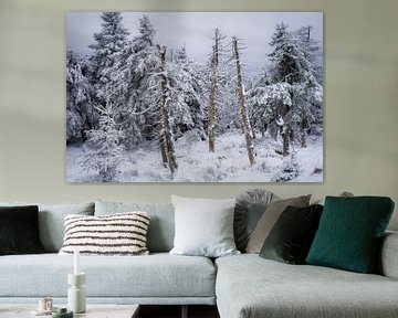 Winterbos op de Brocken in de Harz van Jürgen Schmittdiel Photography