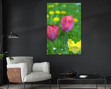 Roze schoonheden in het groen