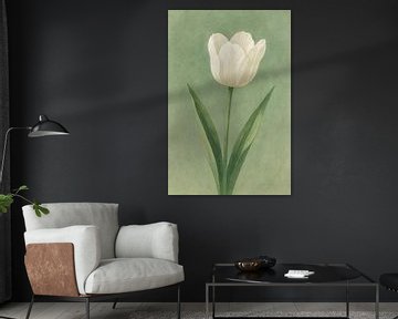 Witte Tulp in Stil Groen – Tijdloze Eenvoud in Aquarel van But First Framing