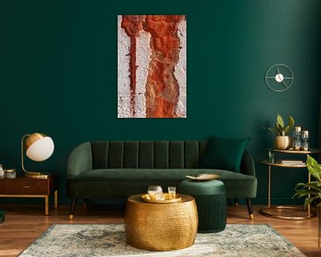 Abstracte fotografie: steenrode muur met veel textuur van Danielle Roeleveld