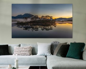 Pinieninsel - Connemara von Peter Bijsterveld