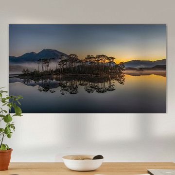 Pine Island - Connemara