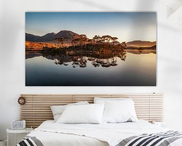 Pinieninsel - Connemara von Peter Bijsterveld