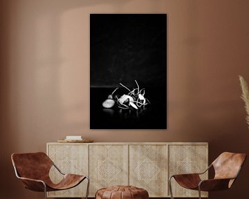 Die Reste: Radieschen von André Blom Fotografie Utrecht
