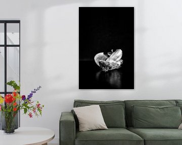 Die Reste: Zwiebel von André Blom Fotografie Utrecht
