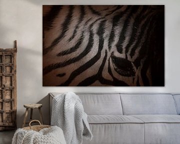 Zebra Close-up in Schaduwspel Oog in Stilte van Femke Ketelaar