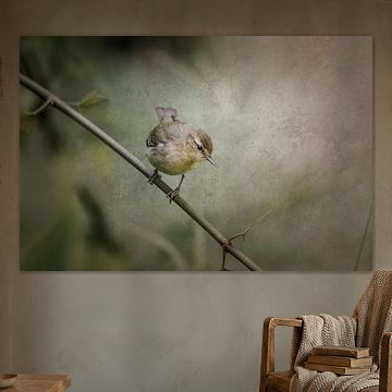 Vogel auf Zweig Zärtlicher Blick in Grün