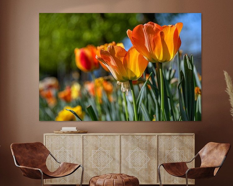 Aperçu de la chambre