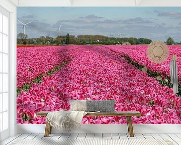 Tulpenzwiebelfeld im Flevopolder.