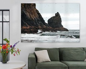 The rugged Oregon Coast with Sea Stacks and birds by Elise van Gils