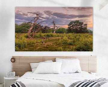 The Strubben-Kniphorstbosch in Schipborg at sunrise by Marga Vroom