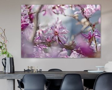 Magnolia droom van christine b-b müller