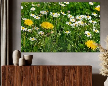 Paardenbloemen en madeliefjes in een frisgroene lenteweide van Animaflora PicsStock