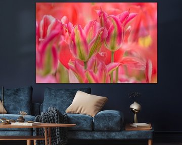 Tulpen Roze -Groen van Marco Liberto