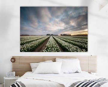 Kleurrijke Stilte op het Groningse Platteland van Peter Kuipers