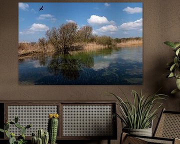Noord Hollands Duinreservaat