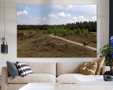 Braamberg Veluwe van Richard Wareham