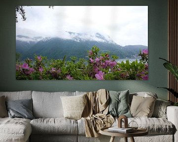 Tussen bloemen en wolken - magie aan het Meer van Lugano