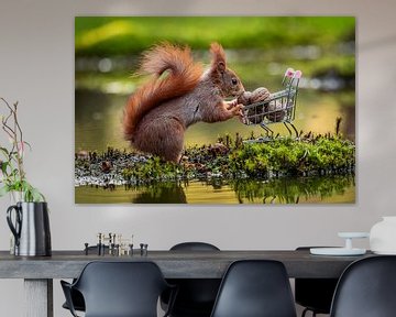 Eekhhoorn met een kar vol walnoten