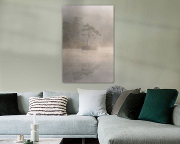 Fagnes d'Oisterwijk dans la brume du matin sur Miranda Geerts Art