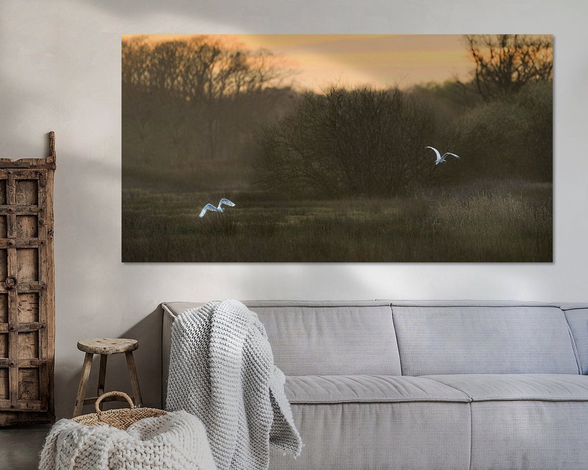 Raumvorschau