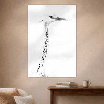 Héron en noir et blanc