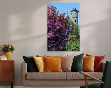 Stadtmauer von Bad Neustadt mit Turm im Frühling