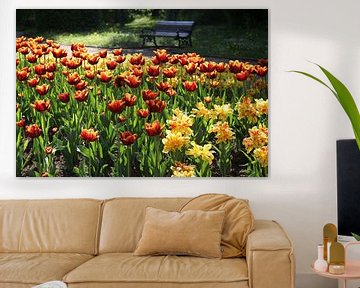 Kurpark von Bad Neustadt mit Tulpenbeet im Sommer