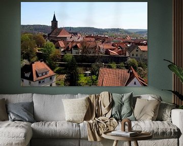 Bad Neustadt mit Kirchen und Stadtmauer