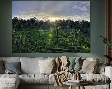 Sunrise over the rice terraces of Bali by Roith Fotografie
