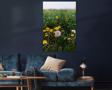 Dandelion analogue by Mandy Markman